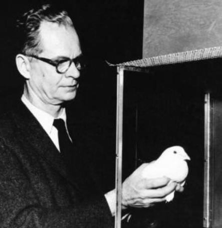 bf skinner