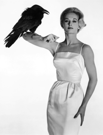 Tippi