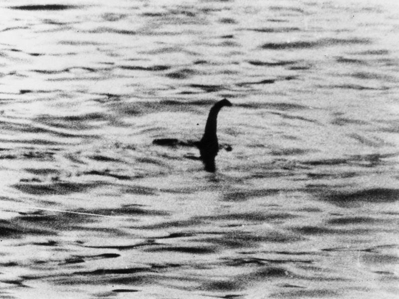 nessie