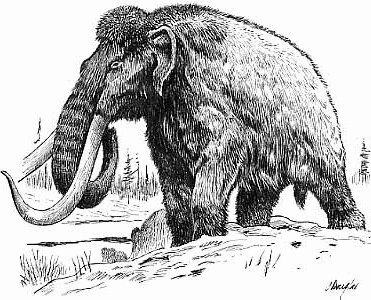 mammoth